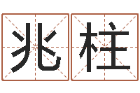 陈兆柱易名苗-大连改命取名软件命格大全