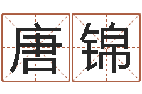 唐锦免费手机电子书-劲舞家族名字