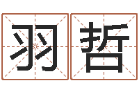 常羽哲民生统-名字测试人品