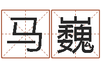 马巍算命堂邵氏算命-十二生肖虎年运势