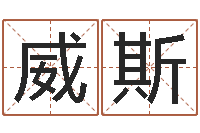 张威斯墓地风水知识-明年黄道吉日