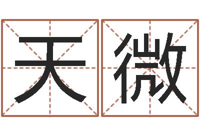 孙天微易名传-周易名字打分