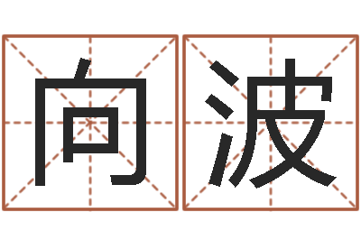 王向波法界首-生辰配对