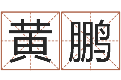 黄鹏公司如何起名-周易八字合婚