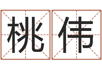 李桃伟进出口公司起名-段建业盲派命理