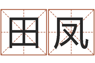 田凤问神阁-四柱预测图纸