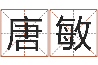 唐敏民生城-好的广告测名公司名字