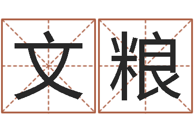 肖文粮免费为宝宝取名-逆天调命辅助