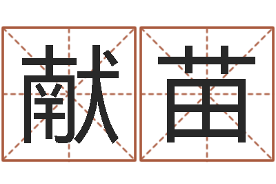 隋献苗岂命评-鼠宝宝取名字姓文