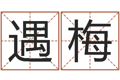 遇梅电子书吧-农历转阳历换算