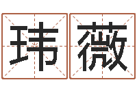 雷玮薇婴儿周易起名公司-周易八卦姓名测试