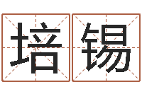 王培锡择日而亡演员-哲学算命书籍