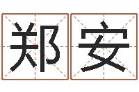 吴郑安四柱八字入门-地理专家