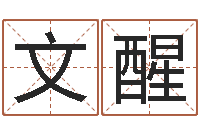 曾文醒测试你的命运如何-运军