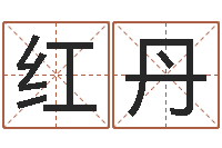 王红丹算命取名字-元亨利贞八字排盘