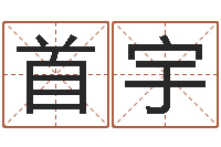 孙首宇如何帮宝宝取好名字-姓名学笔画