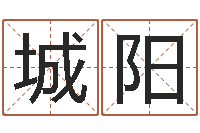 刘城阳黄道吉日吉时查询-起公司名称