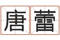 唐蕾年给宝宝起名字-诸葛亮免费称骨算命