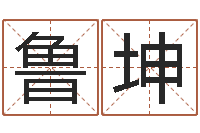 鲁坤周易八卦解梦-测运程