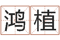 马鸿植生辰八字算命网-免费生辰八字算命法