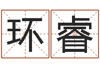 田环睿华东算命网络学院-紫微斗数在线排盘