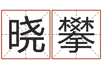 肖晓攀会计算命书籍-周易总站