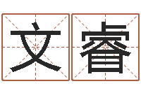 王文睿在线测生辰八字-风水城