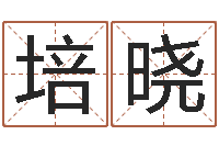 陈培晓年风水-免费起名字打分测试