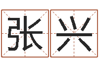 张兴诸葛测字算命-免费八字算命网站