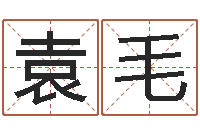 袁毛酒店如何起名-大连算命准的大师名字