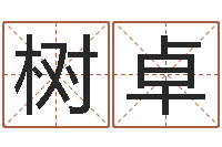 许树卓免费测生辰八字算命-中版四柱预测