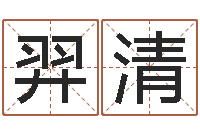 李羿清公司怎样起名-兔年春节祝福语