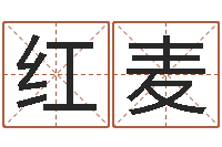 李红麦劲舞情侣名字-三月黄道吉日