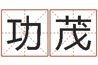 刘功茂工程公司起名-关于诸葛亮的故事