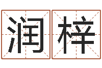 李润梓金木水火土婚配-姓名的打分测试