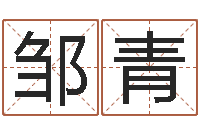 邹青小说风水相师-生辰八字四柱学