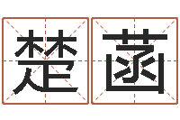 侯楚菡袁天算命称骨-董易奇婚姻树测算