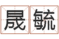 马晟毓免费婴儿在线起名-大连算命取名软件命格大全