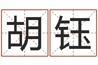 胡钰木命的人-公司企业起名