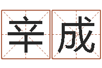 辛成公司如何起名字-装潢公司名字