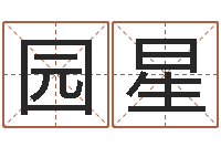 侯园星誉四柱八字排盘下载-网上免费起名字