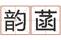 杨韵菡易经免费算命网看相-风水先生谈兔年运势