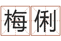 梅俐童子命猪的运气与命运-公司取名吉凶