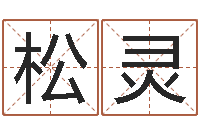 吴松灵免费起名测字-研究易经的网站