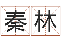 秦林年吉日-起名字经典名字