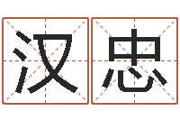 林汉忠航空公司名字-折纸战士x全集