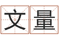 李文量做自己的心理调节师-搞笑名字测试