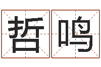 刘哲鸣胡一鸣八字10-算命的可信么