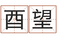 王酉望田姓宝宝起名字-余易四柱预测