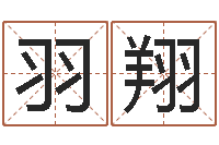 张羽翔名誉-室内装饰风水学